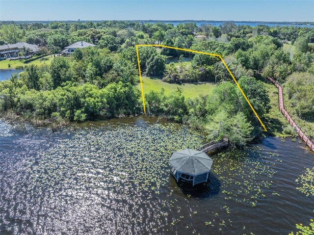 2938 Sunbittern Ct, Windermere, FL 34786