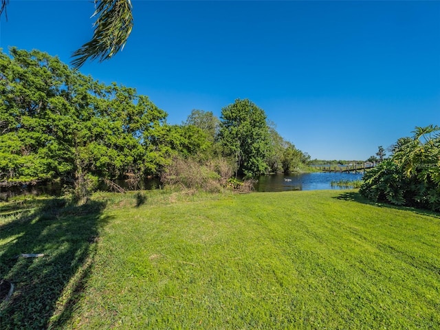 2938 Sunbittern Ct, Windermere, FL 34786