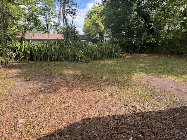 view of yard