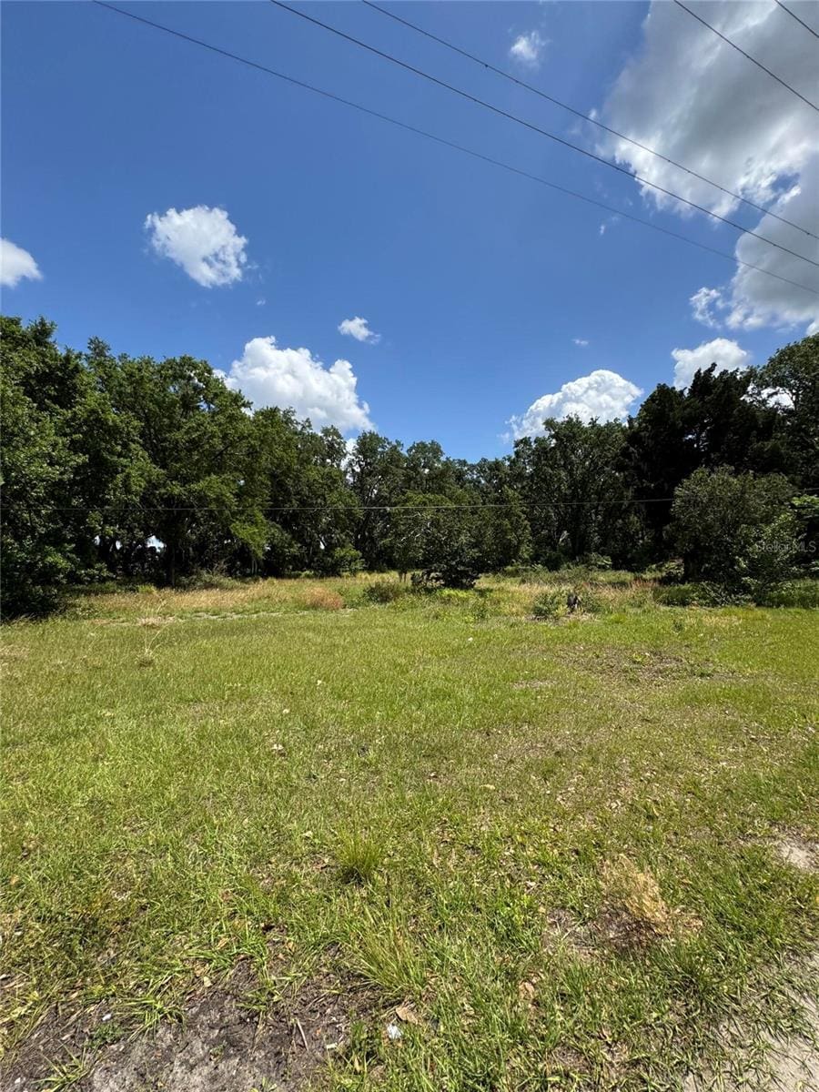 4202 Drawdy Rd, Plant City, FL 33567 - photo 1