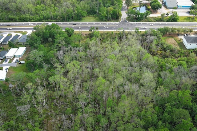 E Broadway St, Oviedo, FL 32765 - photo 28