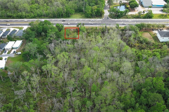 E Broadway St, Oviedo, FL 32765 - photo 30