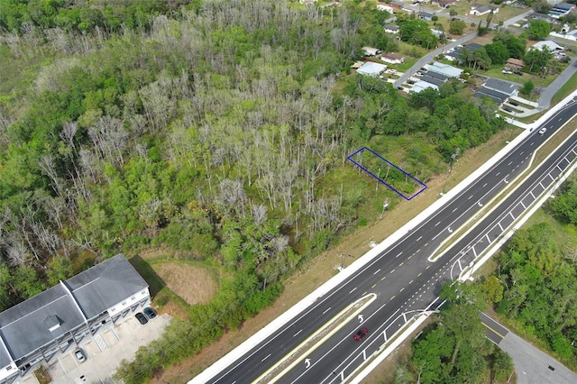 E Broadway St, Oviedo, FL 32765 - photo 41