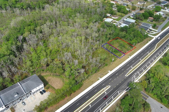 E Broadway St, Oviedo, FL 32765 - photo 43