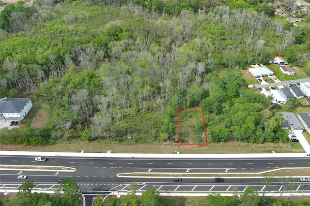 E Broadway St, Oviedo, FL 32765 - photo 46
