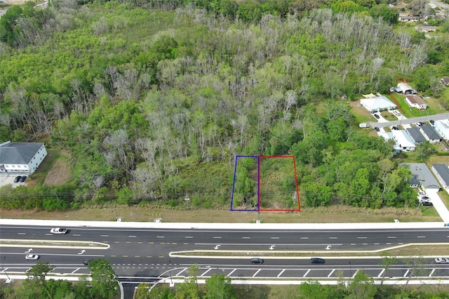 E Broadway St, Oviedo, FL 32765 - photo 47