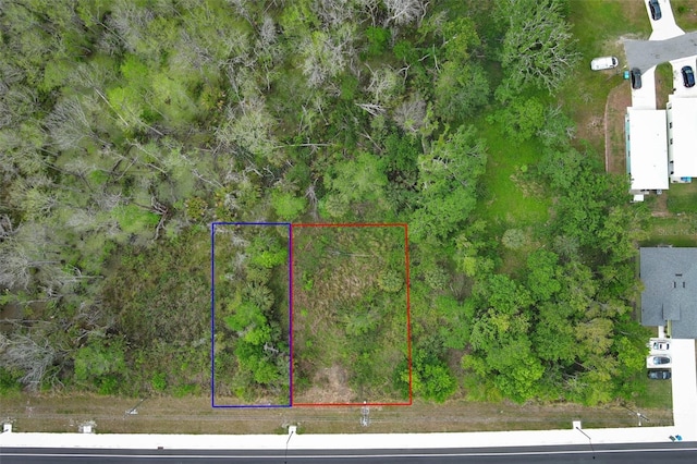 E Broadway St, Oviedo, FL 32765 - photo 62