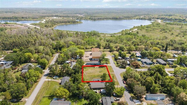 18927 Frost Dr, Orlando, FL 32820 - photo 4