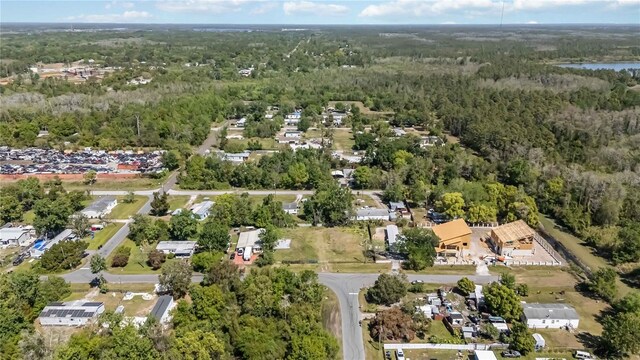 18927 Frost Dr, Orlando, FL 32820 - photo 13