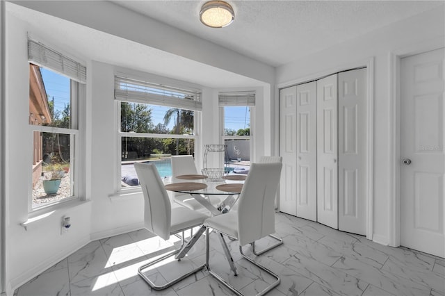 8720 Larwin Ln, Orlando, FL 32817 - dining room with marble finish floor, a textured ceiling, and a wealth of natural light