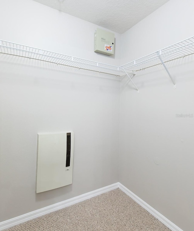 spacious closet with carpet floors