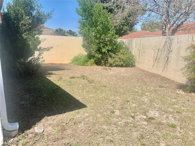 1324 Balboa Ct, The Villages, FL 32159 - view of yard featuring a fenced backyard