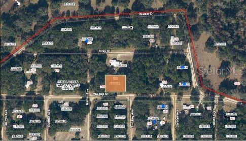 116 Walkup St, Interlachen, FL 32148 - photo 4