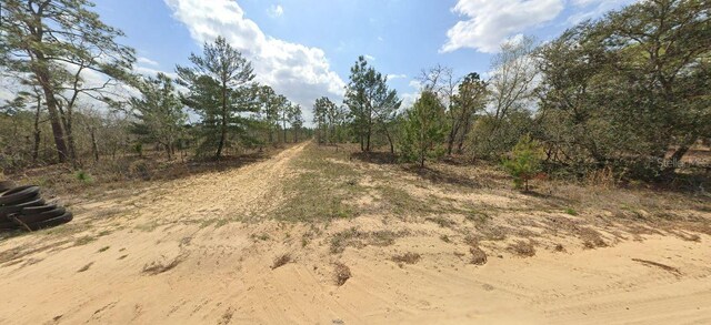 228 Rome Ave, Interlachen, FL 32148 - photo 2