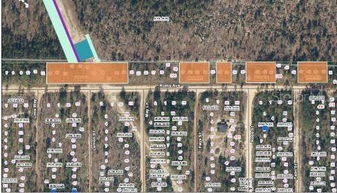 228 Rome Ave, Interlachen, FL 32148 - photo 3