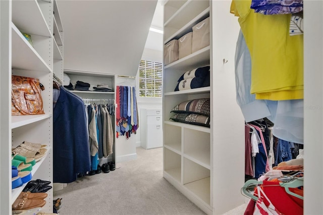 1560 Woodland Ave, Winter Park, FL 32789 - walk in closet featuring carpet