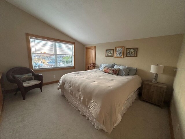 5900 Leeland St S, Saint Petersburg, FL 33715 - photo 42