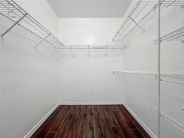 walk in closet with dark wood-type flooring
