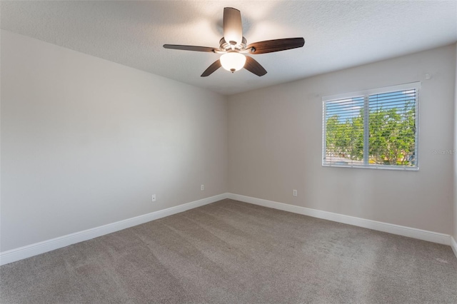1197 Tallow Rd, Apopka, FL 32703 - empty room with carpet, ceiling fan, baseboards, and a textured ceiling