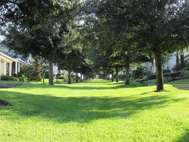 1197 Tallow Rd, Apopka, FL 32703 - view of green lawn