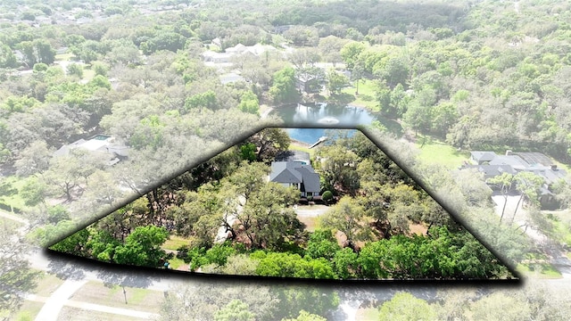 835 Dyson Dr, Winter Springs, FL 32708 - aerial view of a forest