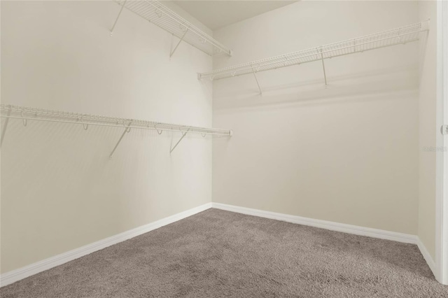 2200 Rapollo Dr, Kissimmee, FL 34741 - spacious closet with carpet floors