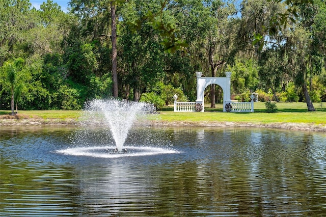 11450 Nellie Oaks Bnd, Clermont, FL 34711 - water view