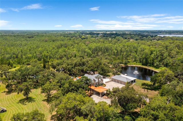 11450 Nellie Oaks Bnd, Clermont, FL 34711 - drone / aerial view of a heavily wooded area and a nearby body of water