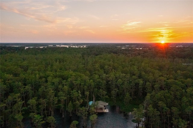 11450 Nellie Oaks Bnd, Clermont, FL 34711 - aerial view of a forest