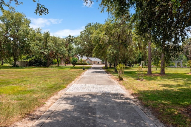 11450 Nellie Oaks Bnd, Clermont, FL 34711 - view of community with driveway, a lawn, and view of wooded area