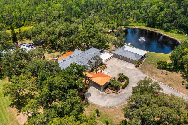 11450 Nellie Oaks Bnd, Clermont, FL 34711 - aerial view of a heavily wooded area and a nearby body of water
