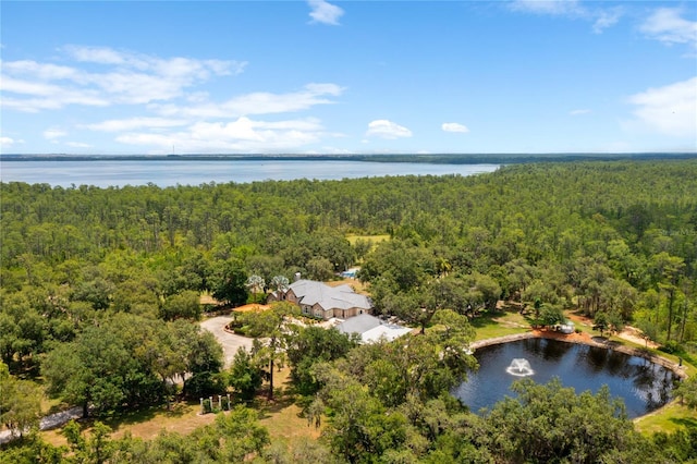 11450 Nellie Oaks Bnd, Clermont, FL 34711 - aerial view of a forest and a nearby body of water