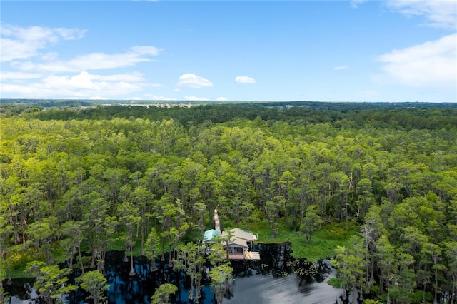 11450 Nellie Oaks Bnd, Clermont, FL 34711 - bird's eye view of a forest
