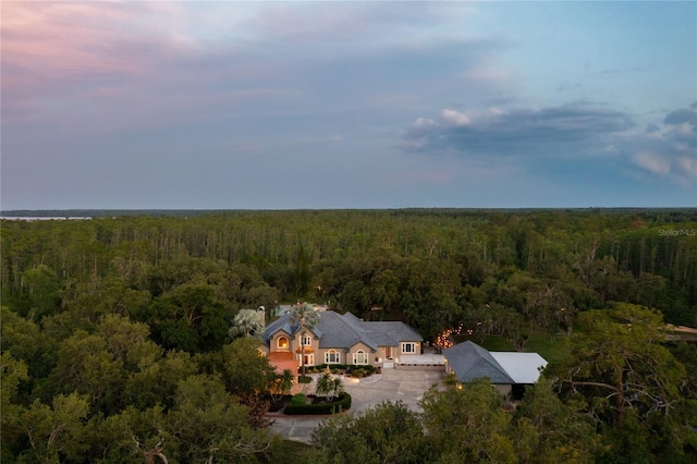 11450 Nellie Oaks Bnd, Clermont, FL 34711 - view of subject property featuring a forest