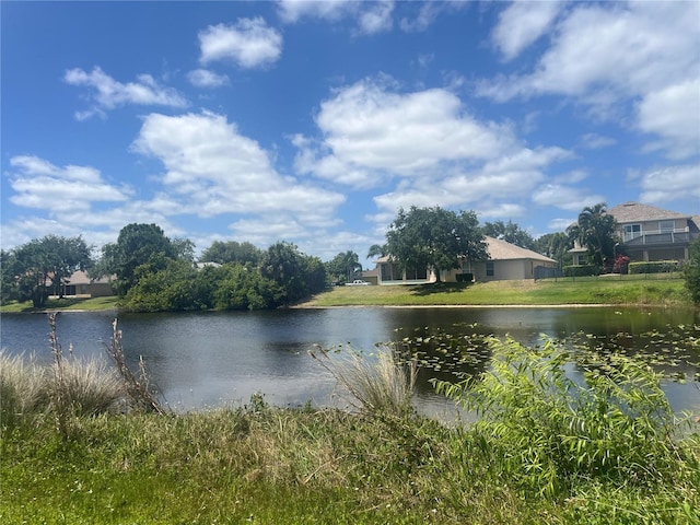 property view of water