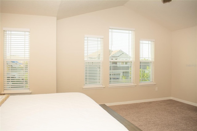 2260 Rapollo Dr, Kissimmee, FL 34741 - photo 55