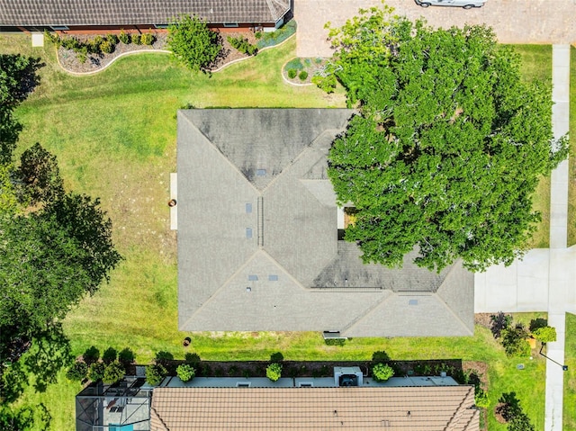 bird's eye view