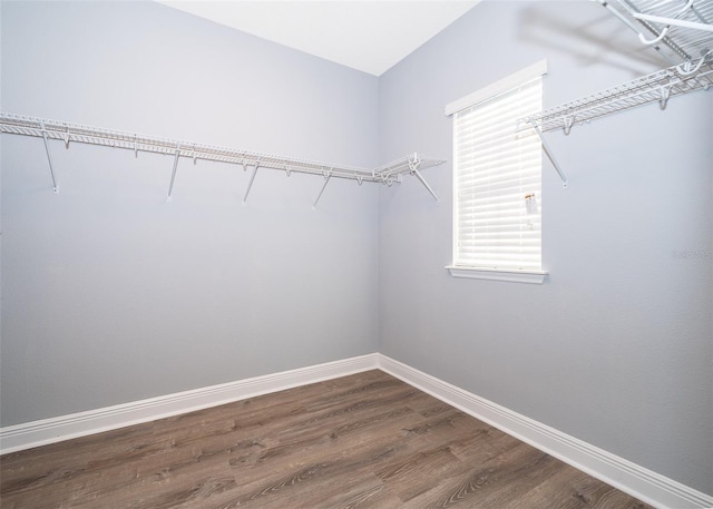 9330 Meadow Hunt Way, Winter Garden, FL 34787 - spacious closet featuring dark wood finished floors