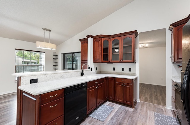 kitchen with lofted ceiling, a sink, dishwasher, a peninsula, and glass insert cabinets