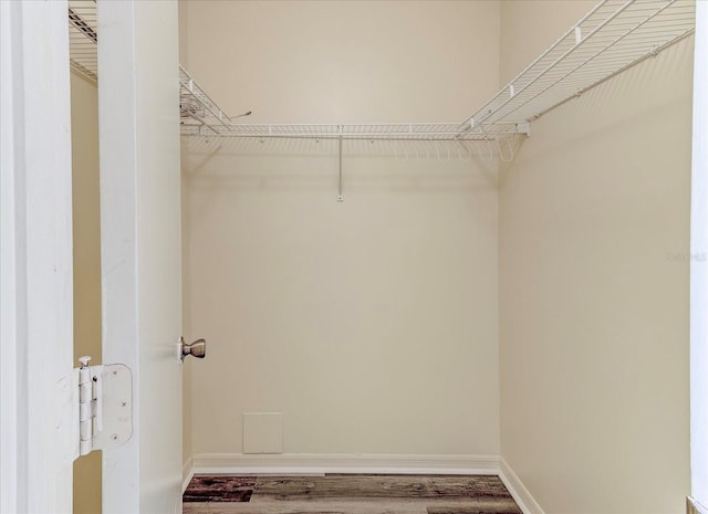 294 San Gabriel St, Winter Springs, FL 32708 - walk in closet featuring wood finished floors