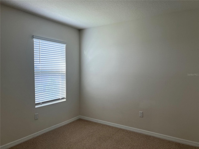 3009 Tansy St, Tavares, FL 32778 - unfurnished room featuring plenty of natural light, carpet floors, baseboards, and a textured ceiling