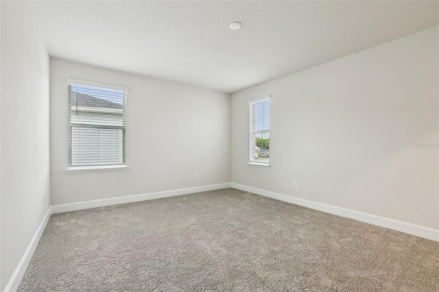 2785 Park Ridge St, Apopka, FL 32712 - spare room with carpet, plenty of natural light, and a textured ceiling