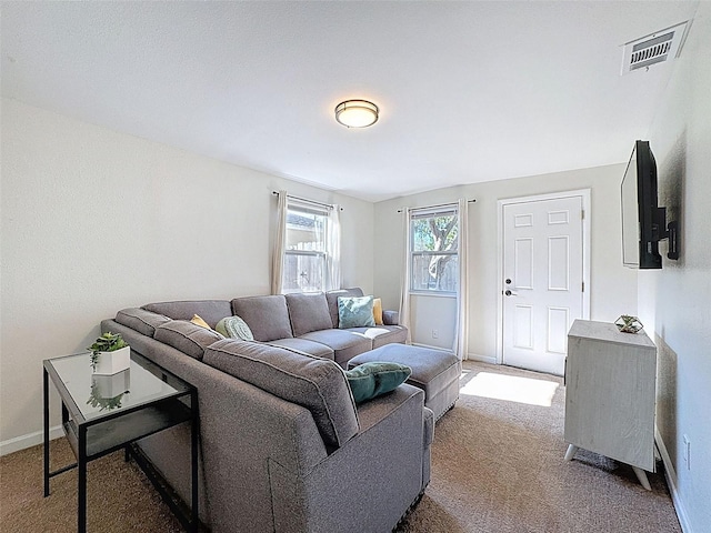 1121 49th Ave N, Saint Petersburg, FL 33703 - living room with carpet, baseboards, and visible vents