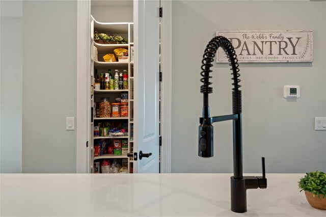 12330 Koshiba Aly, Orlando, FL 32827 - view of pantry