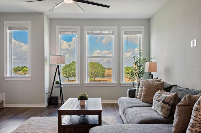 12330 Koshiba Aly, Orlando, FL 32827 - living room featuring dark wood finished floors, baseboards, a healthy amount of sunlight, and ceiling fan