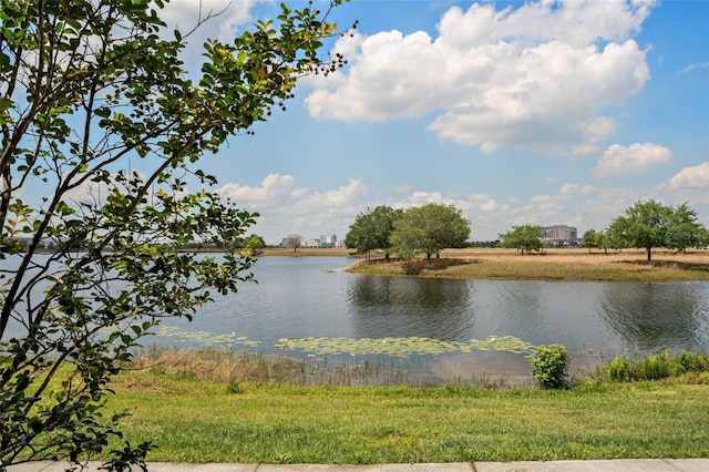 12330 Koshiba Aly, Orlando, FL 32827 - view of water feature