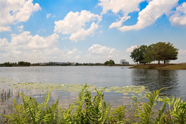 12330 Koshiba Aly, Orlando, FL 32827 - view of water feature