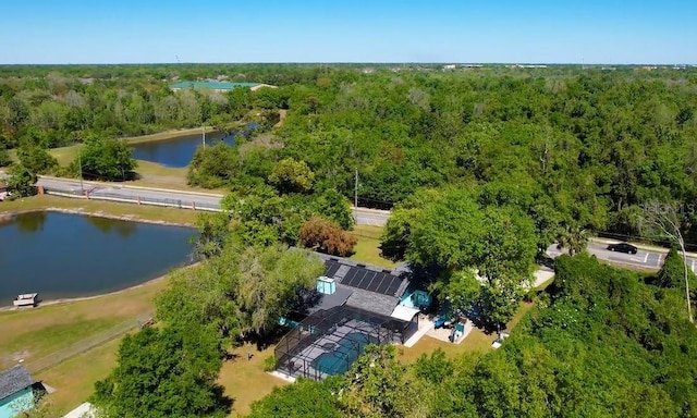 11404 Lokanotosa Trl, Orlando, FL 32817 - birds eye view of property with a water view and a view of trees
