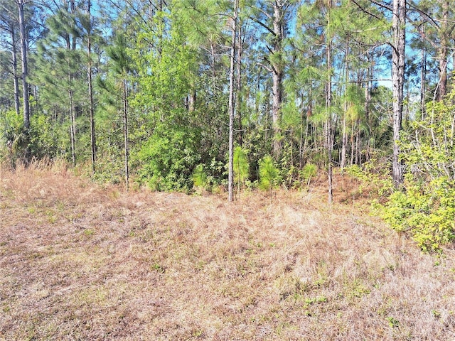 919 El Dorado Dr, Indian Lake Estates, FL 33855 - photo 4