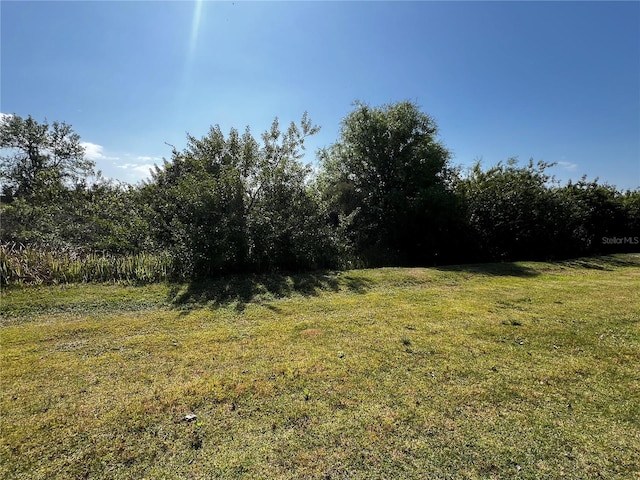11826 Sky Acres Ter, Bradenton, FL 34211 - view of grassy yard